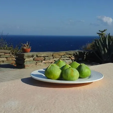 Au Paradis Bleu Apartment